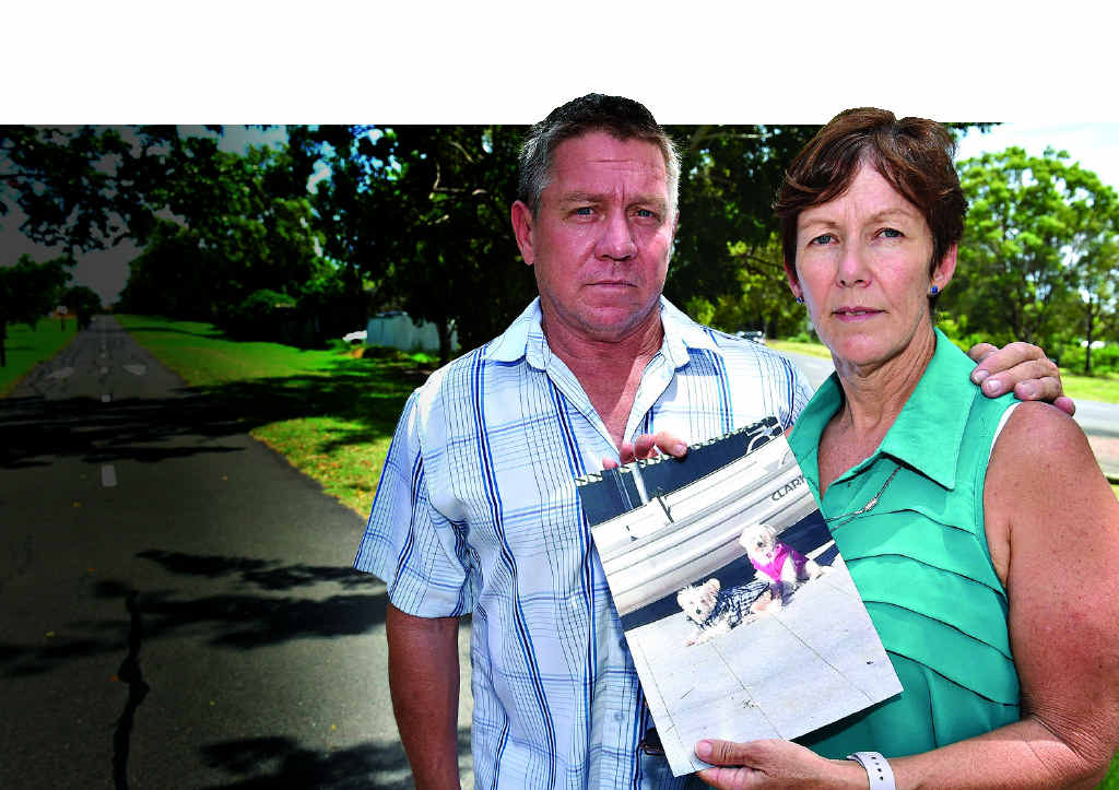 PAIN OF LOSS: John and Donna Pain with a picture of Bobbie Bingo and dog Bella. Bobbie was mauled to death on Monday night. PAIN OF LOSS: John and Donna Pain with a picture of Bobbie Bingo and dog Bella. Bobbie was mauled to death on Monday night.